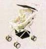 Buggy