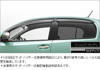 Side visor (RV wide)