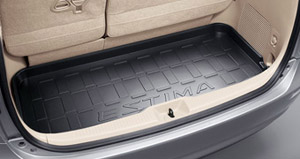 Luggage tray