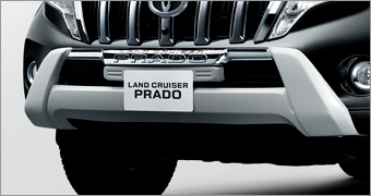 Front bumper protector