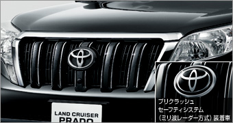 Plated grill