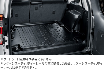 Luggage tray